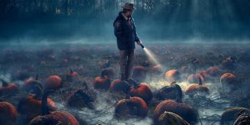 Stranger Things Maze Transforms 20 Acres of Corn Into the Upside Down
