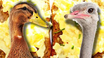 Which Egg Makes The Best Scrambled Eggs