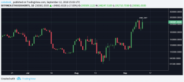 Ether Shorts Hit Another Record High as Price Sinks