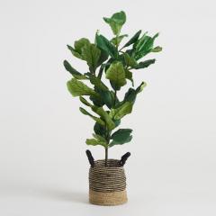 I Caved and Finally Bought a Fake Fig Tree - Life's Never Been Better