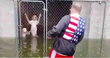 This Man Rescued 6 Dogs Trapped in Cages During Hurricane Florence, and Thank God