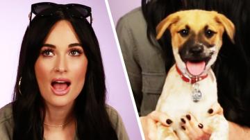 Kacey Musgraves Plays With Puppies While Answering Fan Questions