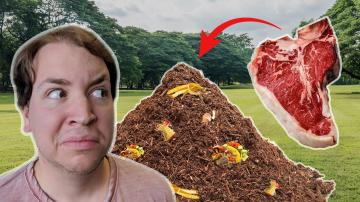 I Tried Cooking A Steak In A Compost Pile
