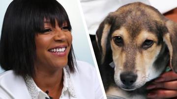 Tiffany Haddish Plays With Puppies While Answering Fan Questions