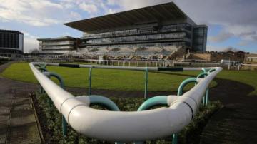 Equine Flu: British horse racing cancelled until at least 13 February