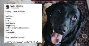 LOL, Pet Owners Shared All the Ridiculous Nicknames They Give Their Pets