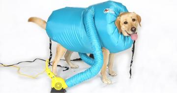This Inflatable Jacket Vacuum Dries Your Dog When They're Wet, and OMG - This Is Coming Home With Me Now