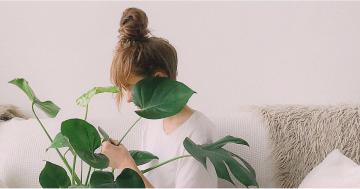How Indoor Plants Can Help You Avoid Getting Sick This Flu Season