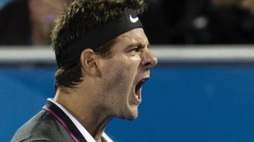Delray Beach Open: Juan Martin del Potro reaches quarter-finals in Florida