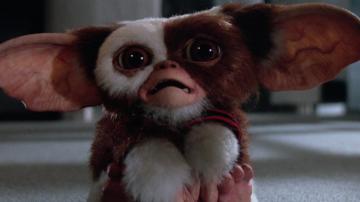 WB Developing Gremlins Animated Series for its Streaming Service