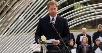 Prince Harry Makes a Somber Appearance as He Pays Tribute to Victims of Tunisia Attacks