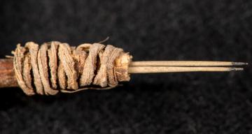 A 2,000-year-old tattoo tool is the oldest in western North America