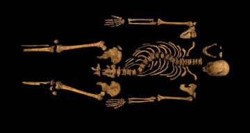 ‘Skeleton Keys’ unlocks the history and mysteries of bones