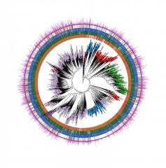 The largest ever catalog of bacteria in the human body contain over 150 thousands genomes