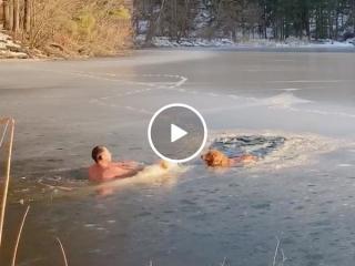Man and his dog rescue two freezing, tired, golden retrievers out of icy water (Video)