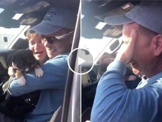 No dad is tough enough to hold back surprise puppy tears (Video)