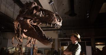 Scientists Say a Canadian T. Rex ‘Scotty’ Is Heaviest Found