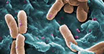 Culture of Secrecy Shields Hospitals With Outbreaks of Drug-Resistant Infections
