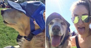 If You Don’t Make Your Dog Wear a Pet Baseball Hat to Block the Sun, Then You Haven’t Officially Made an Enemy