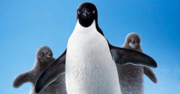 Disneynature: Penguins Review: A Heartwarming, Hilarious & Stunning Adventure