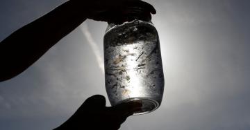 Ocean-Clogging Microplastics Also Pollute the Air, Study Finds