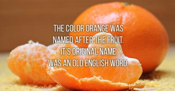 Bizarre facts about the English language (9 GIFs)