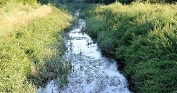 A pretty stream in Belgium is so polluted its water could be used as pesticide