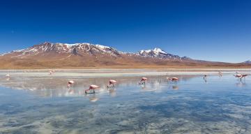 The search for new geologic sources of lithium could power a clean future