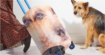 This Company Puts Your Pet’s Face Onto Your Suitcase and OMG, My Dog Is Going to Hate When I Travel Now
