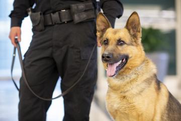 Tacoma Hospital Brings in K-9 to Prevent Assaults, Help Sick Patients