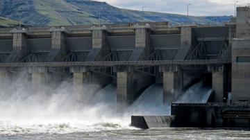 Feds reject removal of 4 Snake River dams in key report