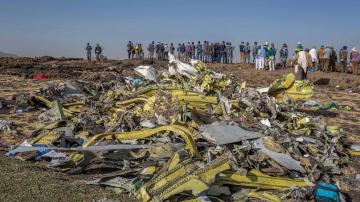 Report: Software pushed jet's nose down 4 times before crash