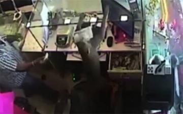 Bold Monkey Robs Jewelry Store In India