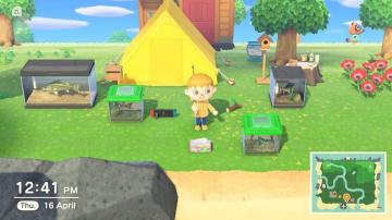 Animal Crossing Is Helping Me Homeschool My Five-Year-Old