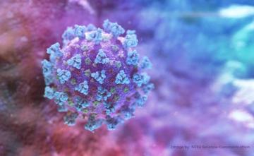 Top Medical Body To Study If Novel Coronavirus Strain Mutated In India