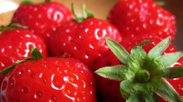 Are There Really Little Bugs in Your Strawberries?