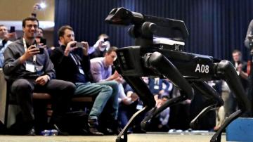 Dog-like robots now on sale for $75,000, with conditions