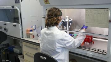 Oxford coronavirus vaccine generates promising Phase 1/2 results: Study