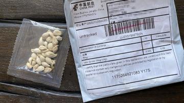 Officials warn not to open unsolicited packages of seeds labeled from China