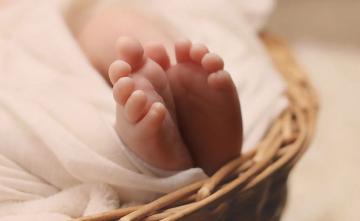 5-Month-Old Kidnapped In Assam, Body Found Buried In Jungle: Police