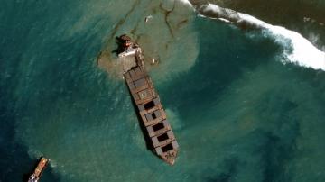 Protest in Mauritius over oil spill, dozens of dead dolphins