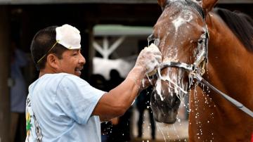 Ahead of Kentucky Derby, worker shortage looms for trainers