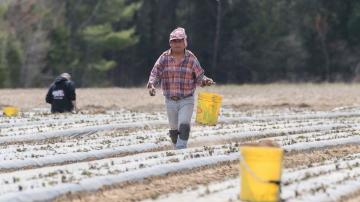 Pandemic brings hard times for farmers, worsening hunger