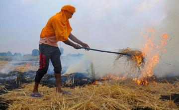 Ministers Of Delhi, 4 States To Meet Over Farm Stubble Burning Issue