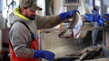 Pandemic has taken a bite out of seafood trade, consumption