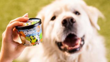 Doggie desserts: Ben & Jerry's enters the pet food business