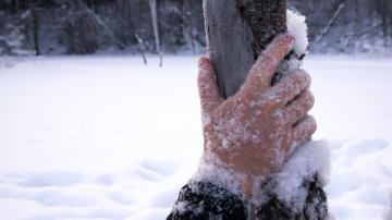 How to Treat Frostbite Until You Can Get Medical Help