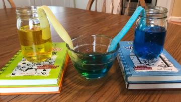 Try the 'Walking Water' Experiment With Your Kids