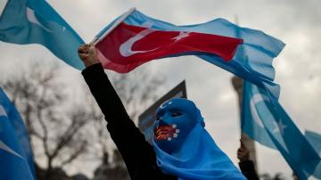 Uyghurs in Turkey protest Chinese foreign minister's visit