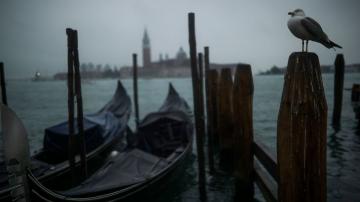 Groups: Venice lagoon still at risk after cruise ship decree